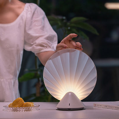 USB Rechargeable LED Night Light Lamp with Timing Adjustable Brightness Cute Modern Design for Bedroom Small Size